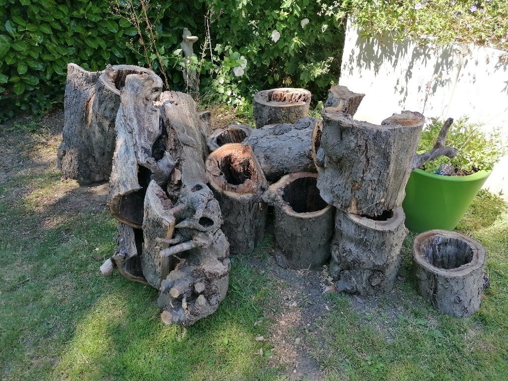 Gratis hout boomstronk, Minder dan 3 m³, Ophalen, Overige houtsoorten, Blokken