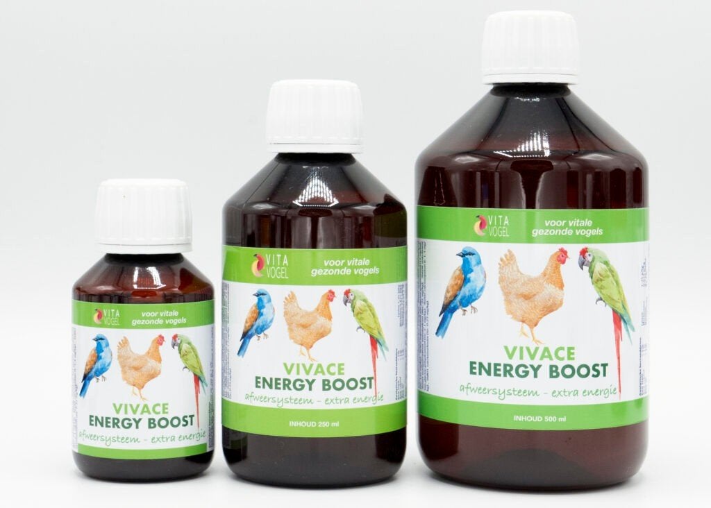 Vivace Energie Boost 250ml, Enlèvement ou Envoi, Neuf, Poulailler