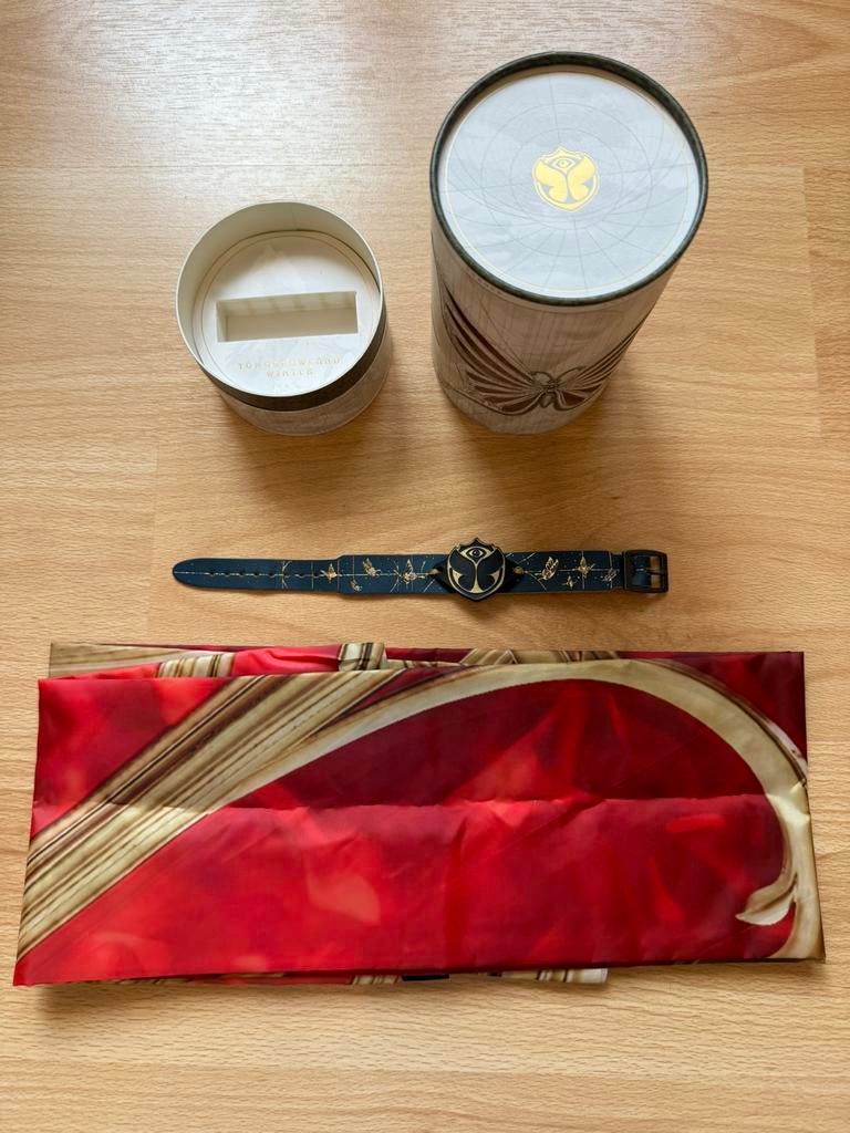 Treasure case Tomorrowland winter 2026, Enlèvement ou Envoi