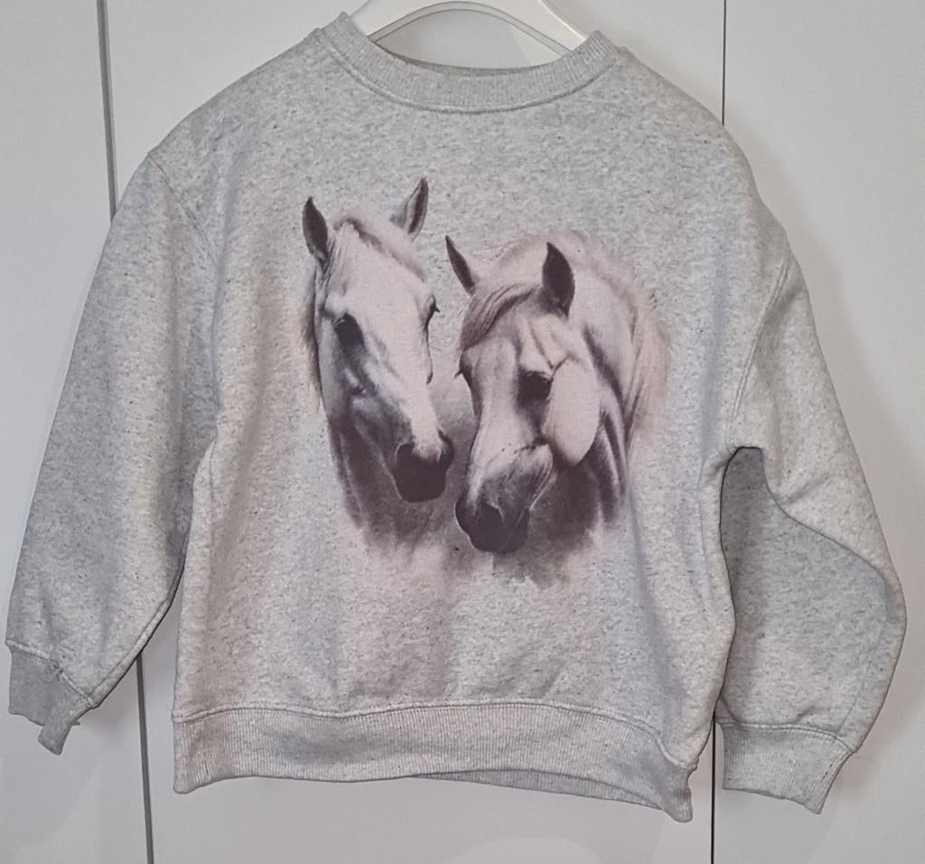 trui Zara 8-9j 128, Kinderen en Baby's, Kinderkleding | Maat 128, Gebruikt, Meisje, Trui of Vest, Ophalen of Verzenden