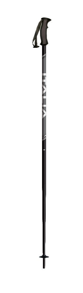 Bâtons de ski ITALBASTONI ITALIA SR SILVER 110 ; 120; 125 cm, Neuf, Autres marques, Carving, Bâtons
