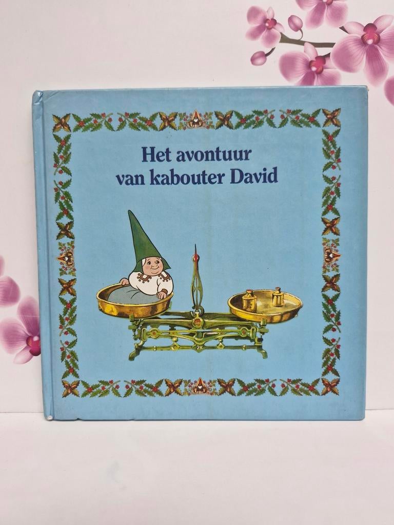 🩵 Boek: Het avontuur van kabouter David, Boeken, Rien Poortvliet en Wil Huygen, Jongen of Meisje, Ophalen of Verzenden, Sprookjes