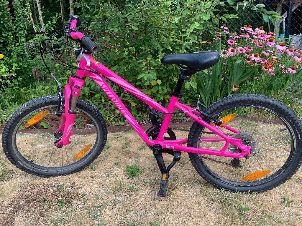 Specialized hotrock 20 roze, Fietsen en Brommers, Fietsen | Kinderfietsjes, Ophalen, Gebruikt, 16 tot 20 inch, Specialized