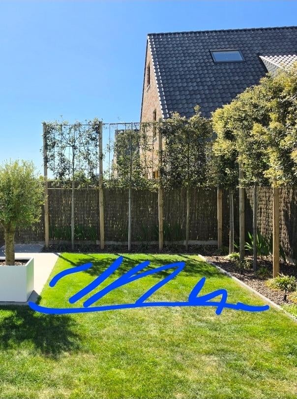Gratis graszoden 14m² met vruchtbare aarde 3m³, Enlèvement, Terre pour jardin