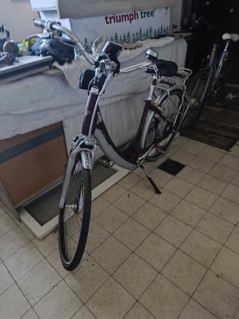 1 Sparta , 1 Gazelle electrische fietsen, Fietsen en Brommers, Ophalen