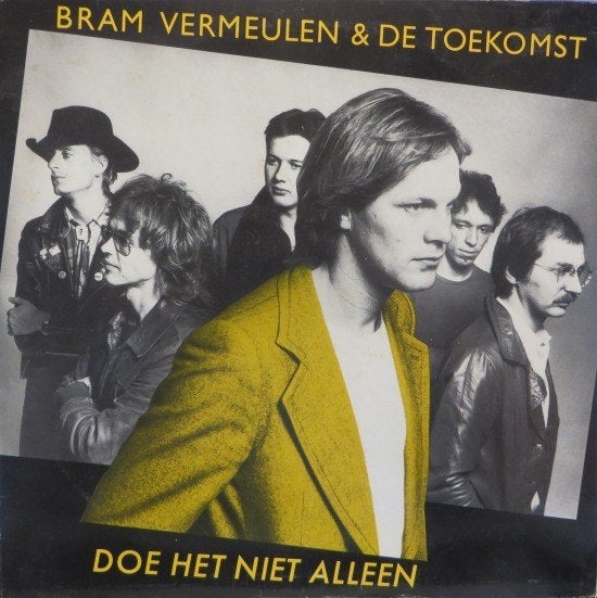 Bram Vermeulen & De Toekomst. Doe Het Niet Alleen, LP, Gebruikt, Ophalen of Verzenden, Pop
