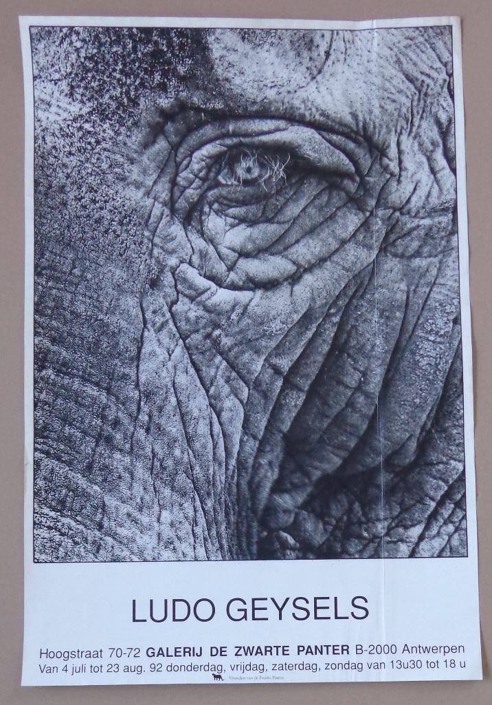 LUDO GEYSELS / AFFICHE / KLEURZEEFDRUK / 90x60cm / PANTER, Enlèvement ou Envoi