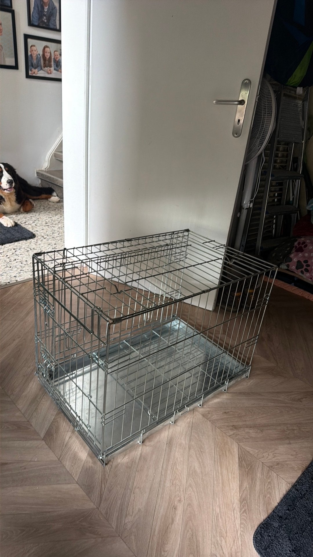 Honden bench, Ophalen, Zo goed als nieuw