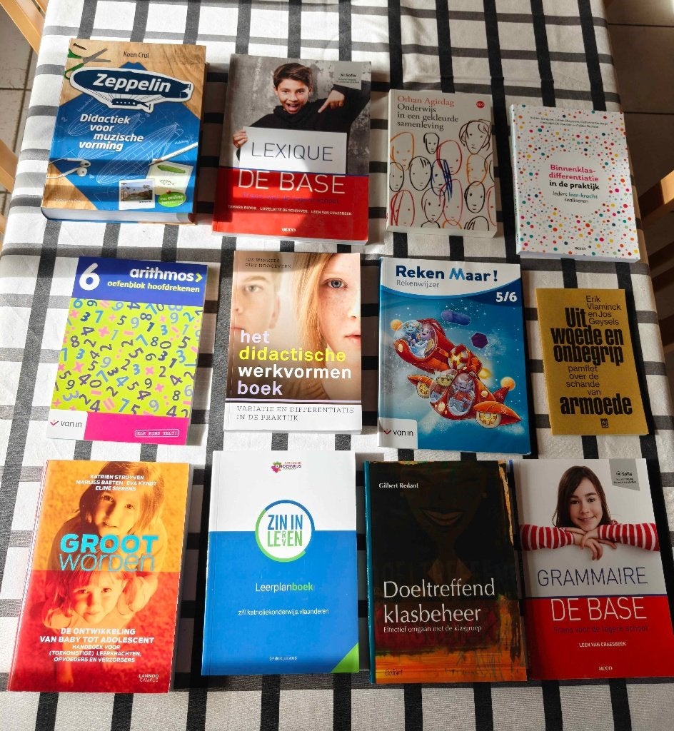 Erasmushogeschool lager onderwijs eerste jaar boeken, Boeken, Ophalen of Verzenden, Zo goed als nieuw, Hogeschool