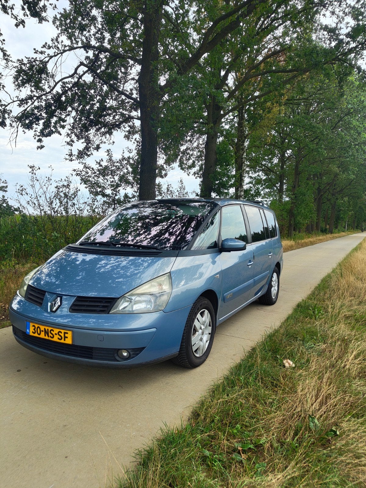 Renault Grand Espace 2.0 16V Turbo Priv AUT E4 2004 Blauw, Automaat, 1998 cc, Monovolume, Blauw