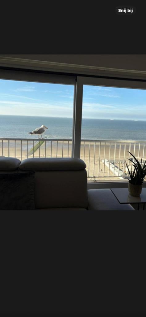 A little home by the sea, Immo, Provincie West-Vlaanderen