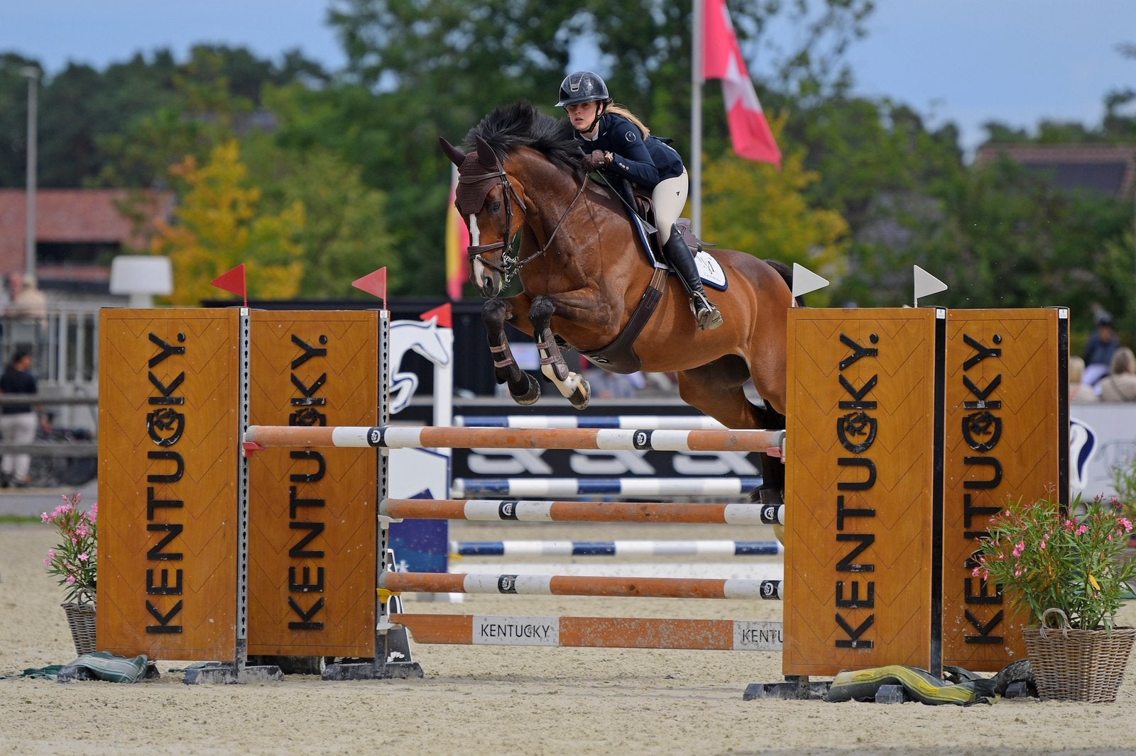 Paardrijlessen/Training springpaarden/Uitbrengen op jumping