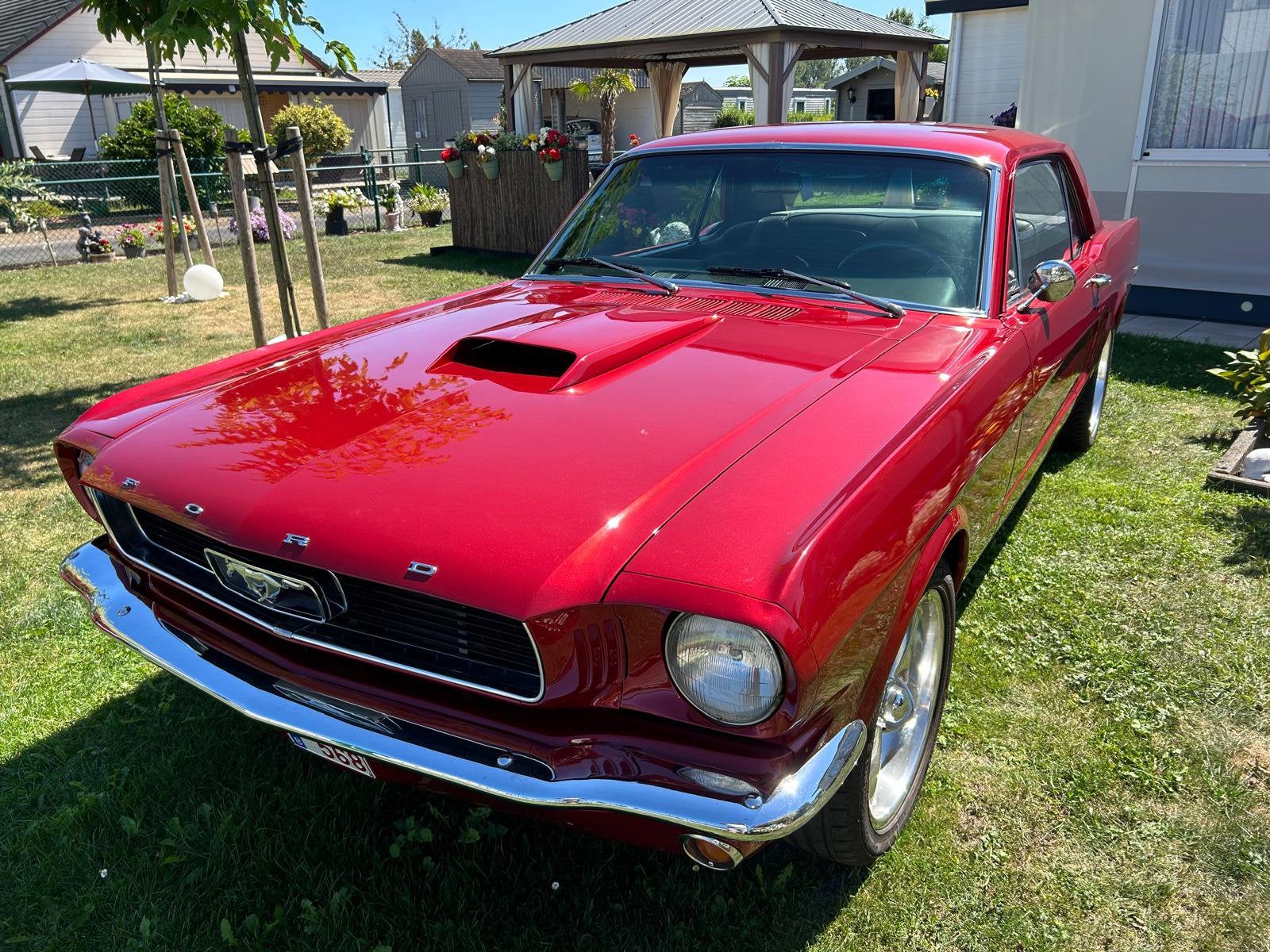 ford mustang, Enlèvement, Ford