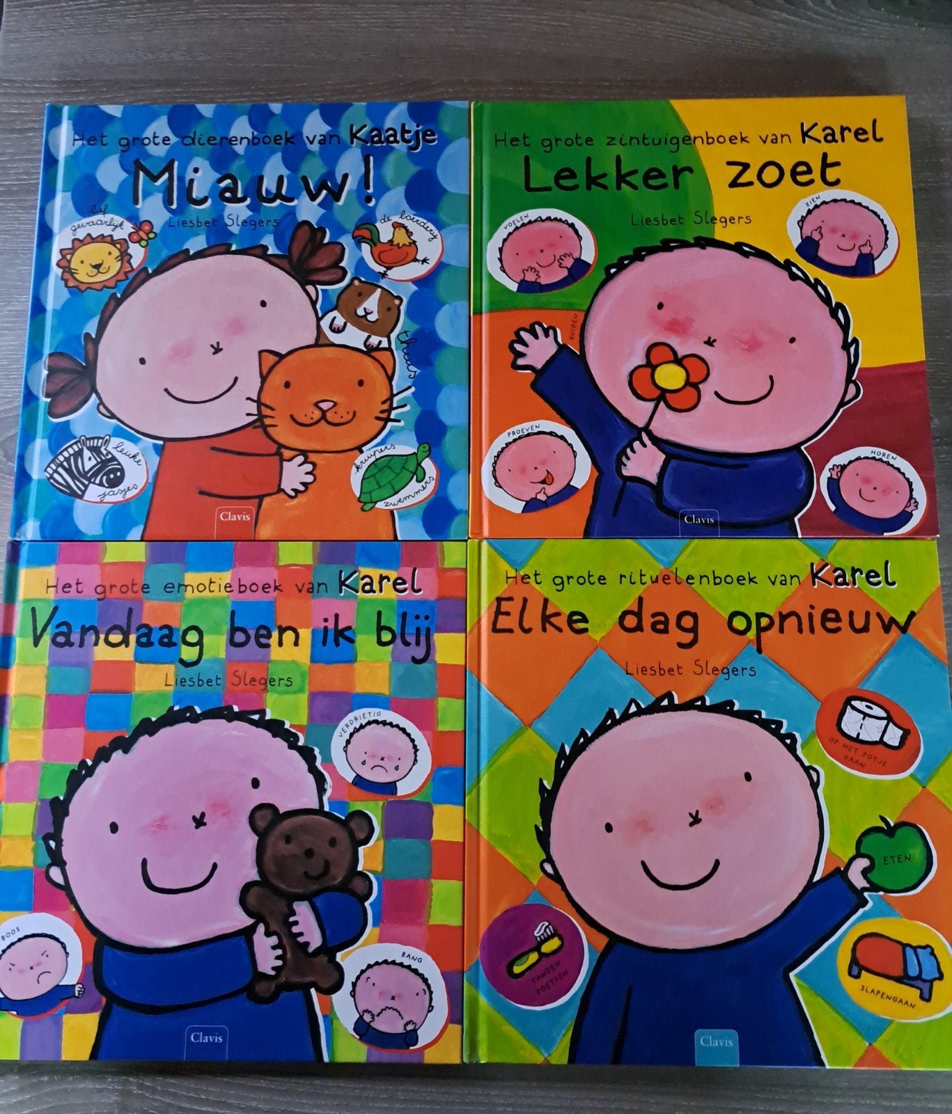 liesbet Slegers  4 thema's rituelen emotie zintuig en dieren, Ophalen