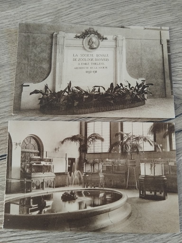 Oude postkaarten Antwerpen Zoo, Verzamelen, Ophalen of Verzenden, Voor 1920, Ongelopen, Antwerpen