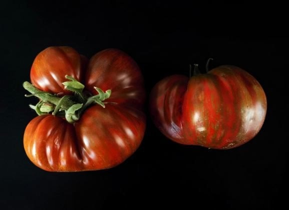 5 graines de tomates précoces Black & Red Boar - biologique, Envoi, Printemps, Graine