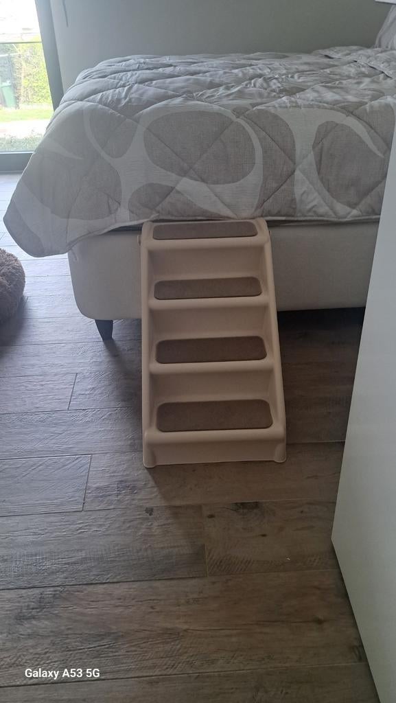 Piège à chien, Animaux & Accessoires, Enlèvement