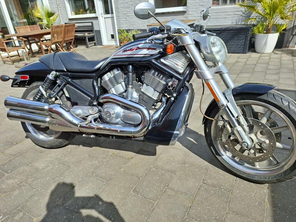 Harley-Davidson street rod, Motoren, Particulier