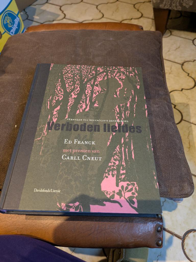 Verboden liefdes, Boeken, België, Ophalen of Verzenden, Zo goed als nieuw, Ed franck