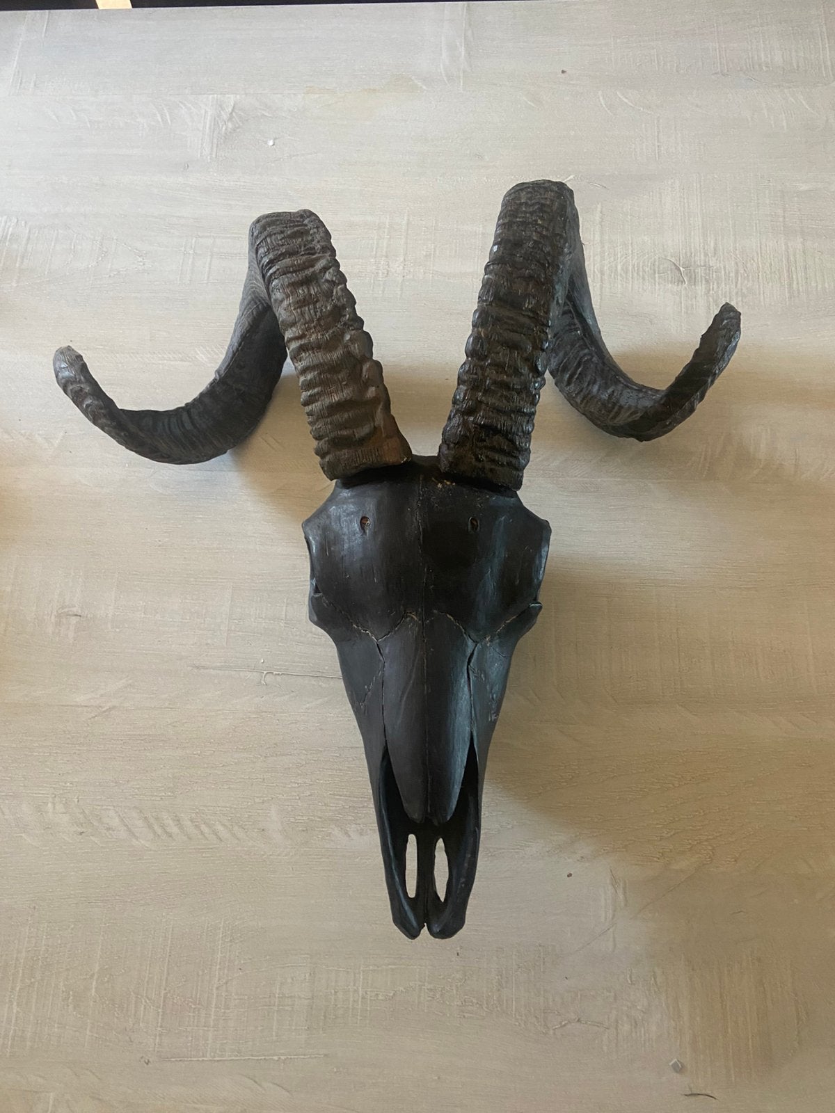Skull hoofd van een ram, Huis en Inrichting, Ophalen, Zo goed als nieuw