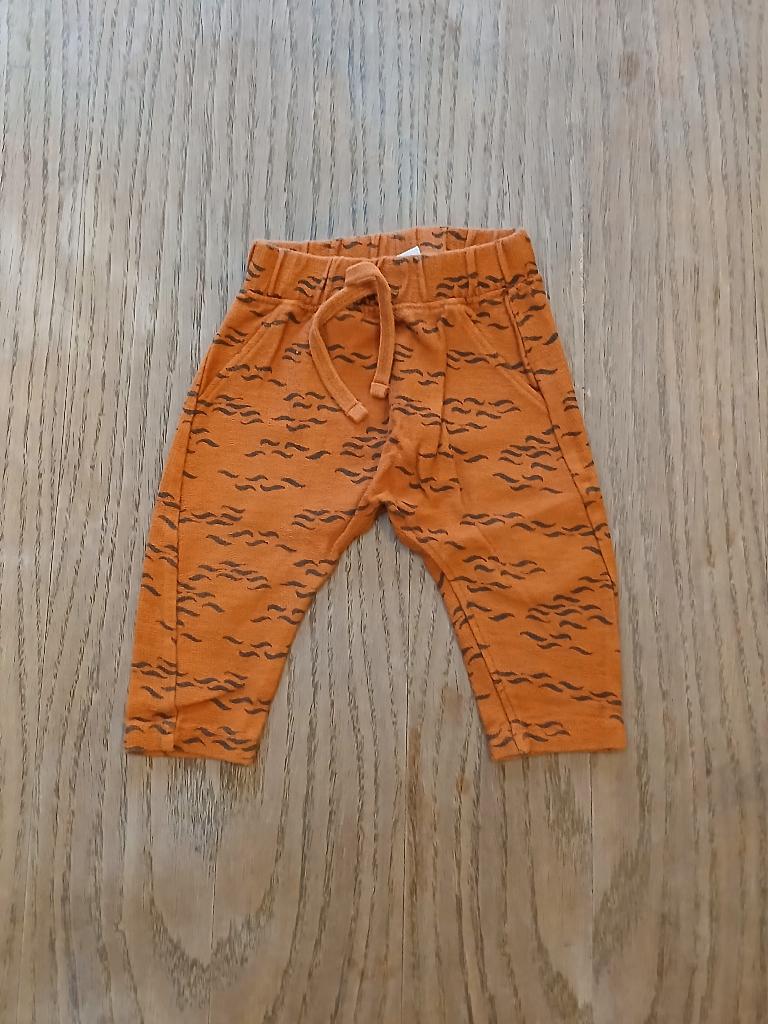 HEMA Babybroekje Oranje/Print - Maat 68 - 100% Katoen, Kinderen en Baby's, Babykleding | Maat 68, Gebruikt, Broekje, Ophalen of Verzenden