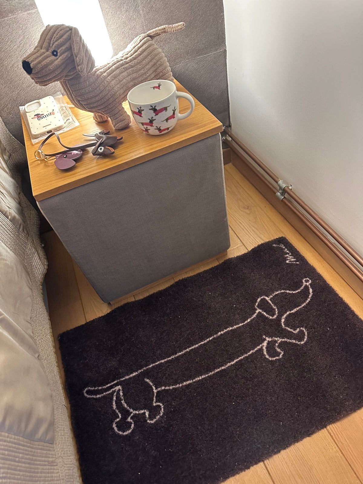 Pakket voor de Teckelliefhebber,  6 items !, Dieren en Toebehoren, Ophalen, Nieuw
