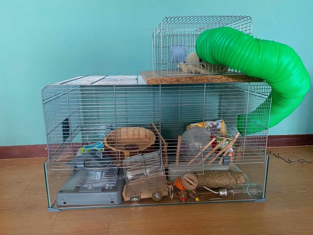 Cage hamster + accessoires, Cage, Utilisé, Hamster, 60 à 90 cm
