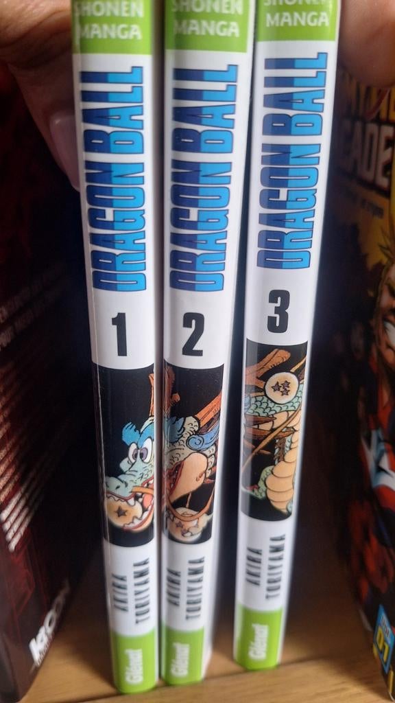 Dragon Ball Manga, Enlèvement
