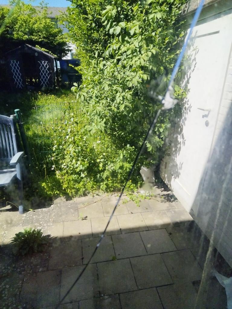 Homme a tout faire, Jardin & Terrasse