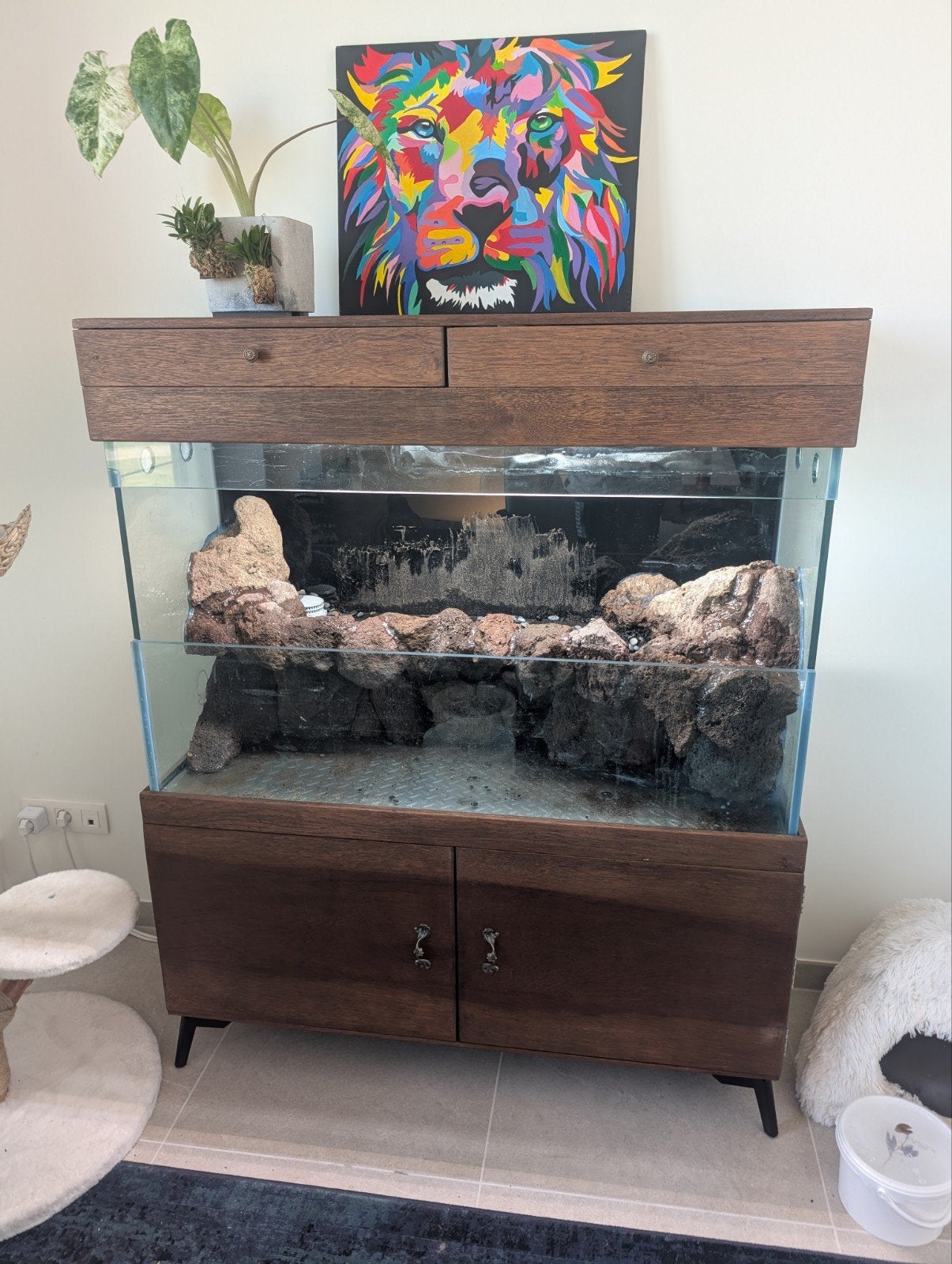 Aquarium + kast + sump, Enlèvement, Couvercle inclus, Comme neuf, Aquarium d'eau douce rempli