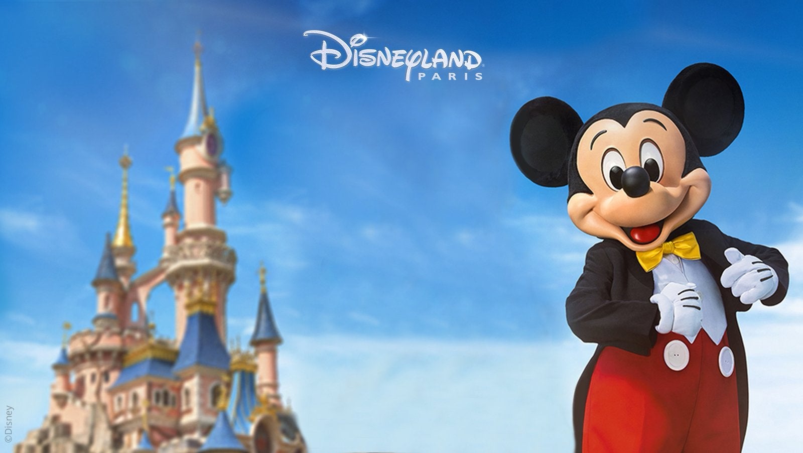 2 entrées pour Disney Paris, Tickets & Billets