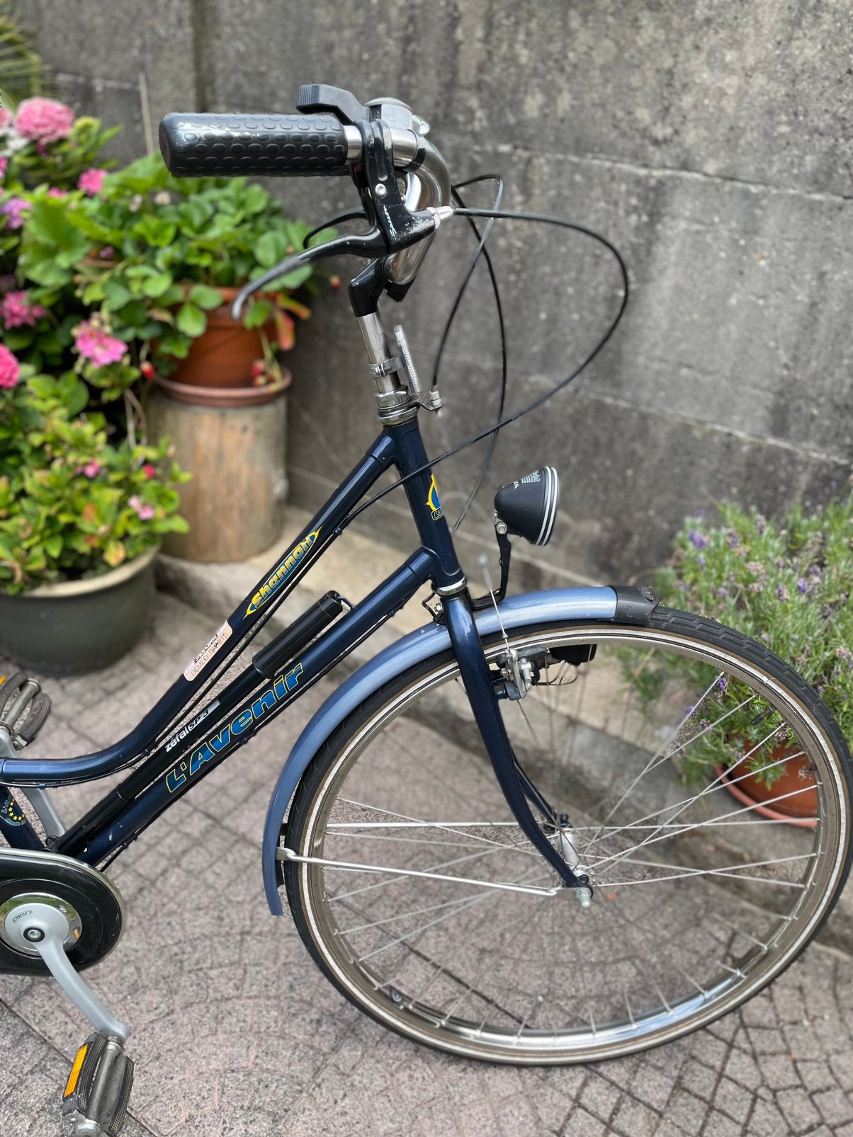 Dames meisjes  fiets L’avenir, Ophalen, Gebruikt, Overige merken