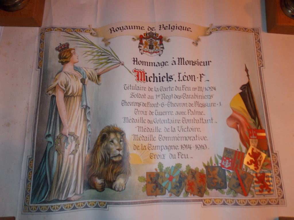 Lot de 9  diplôme pour médailles, Collections, Enlèvement ou Envoi, Armée de terre, Autres types