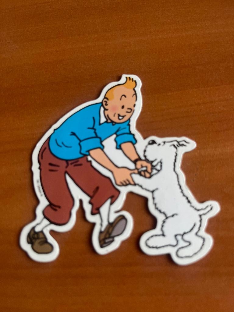 Magneet Kuifje en Bobbie/Tintin et Milou -2004, Verzamelen, Verzenden, Kuifje, Gebruikt, Overige typen