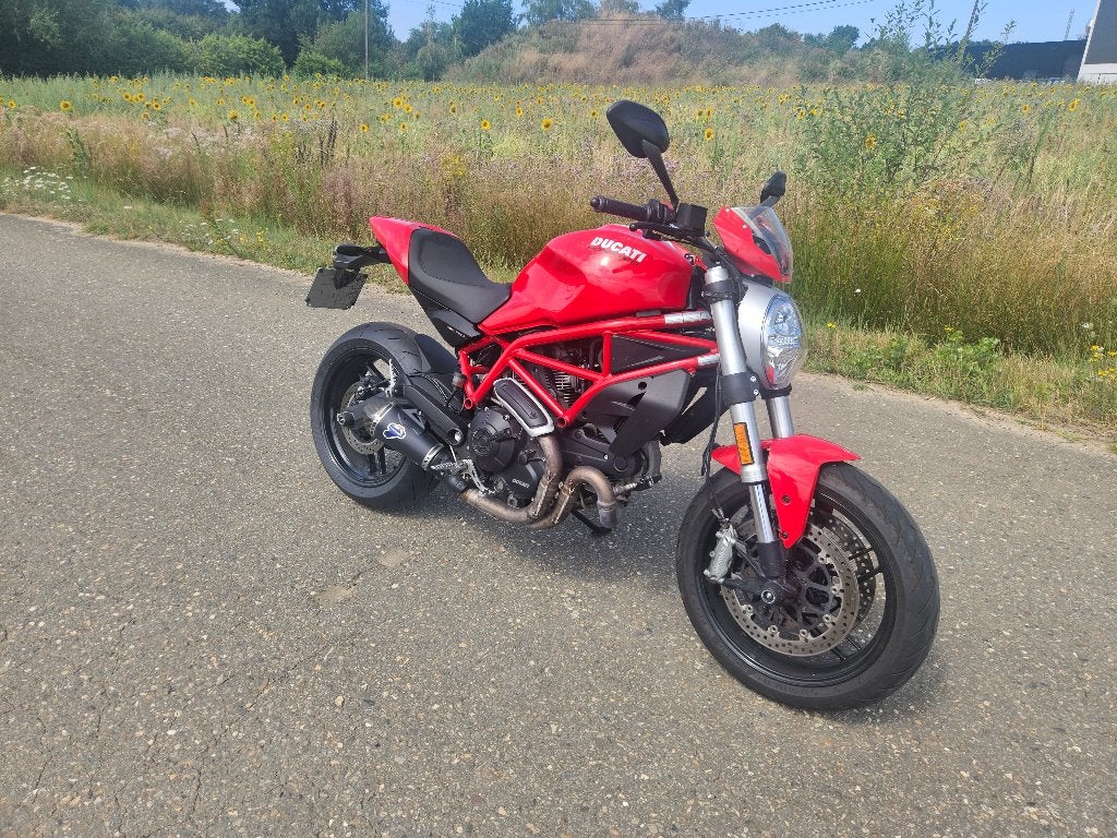 Ducati Monster 797 ABS 2018 | Termignoni | 19.000 km, Motoren, Motoren | Ducati, 2 cilinders, Occasion, ABS, Motorrijbewijs A