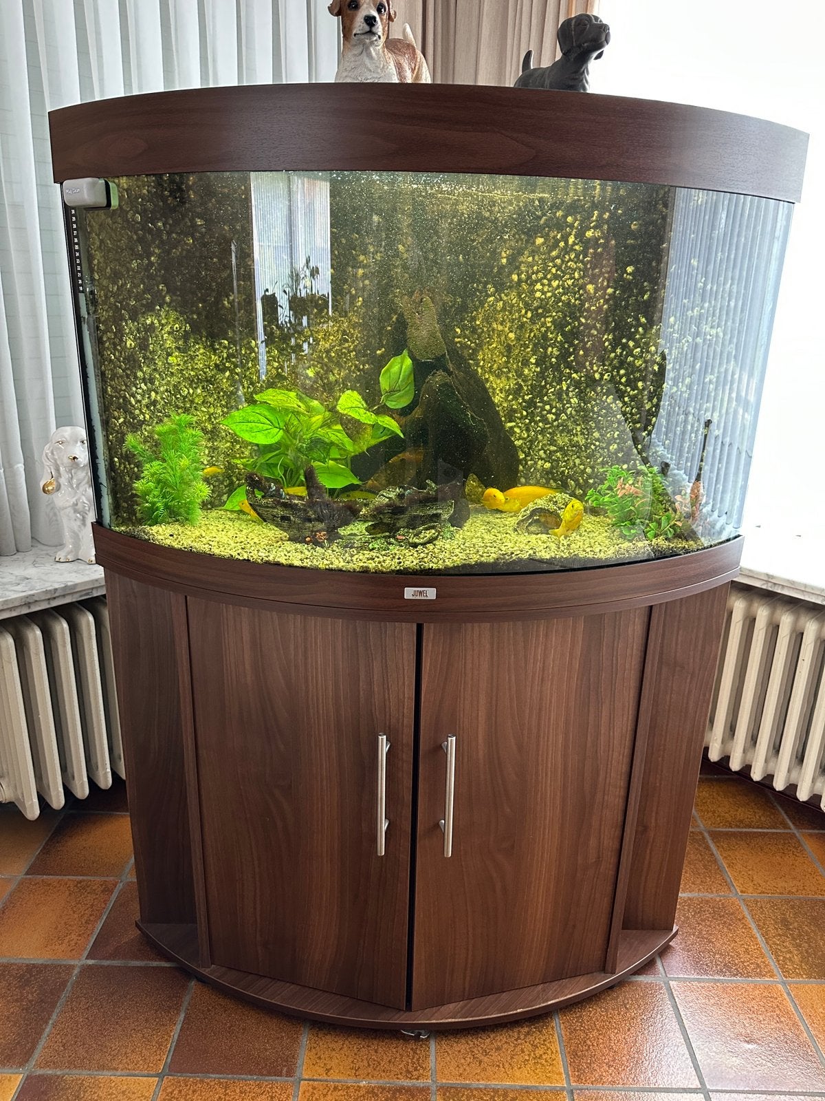 Juwel Trigon 350, Dieren en Toebehoren, Ophalen, Gebruikt, Gevuld zoetwateraquarium, Juwel