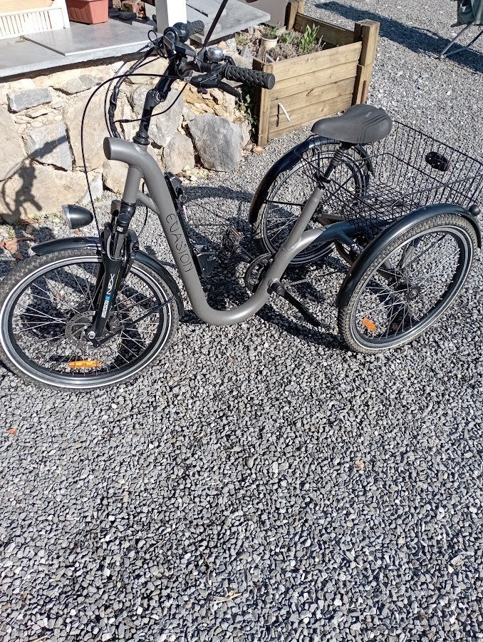 Damius elektrische driewieler, Fietsen en Brommers, Ophalen, Zo goed als nieuw, Schijfrem, Damius