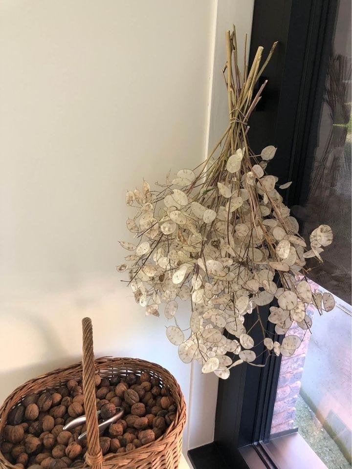 Droogbloemen Jusdaspenning, Huis en Inrichting, Ophalen