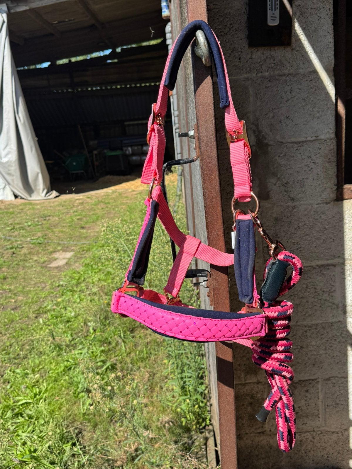Harry’s Horse Halsterset Mare, Animaux & Accessoires, Chevaux & Poneys | Brides & Harnachement, Harry's Horse, Comme neuf, Enlèvement