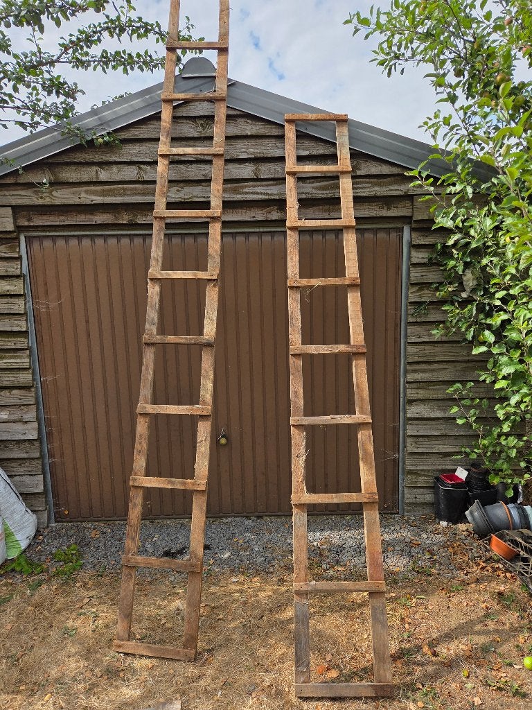 Echelles de toit en bois, Enlèvement, Utilisé, Échelle, 2 à 4 mètres