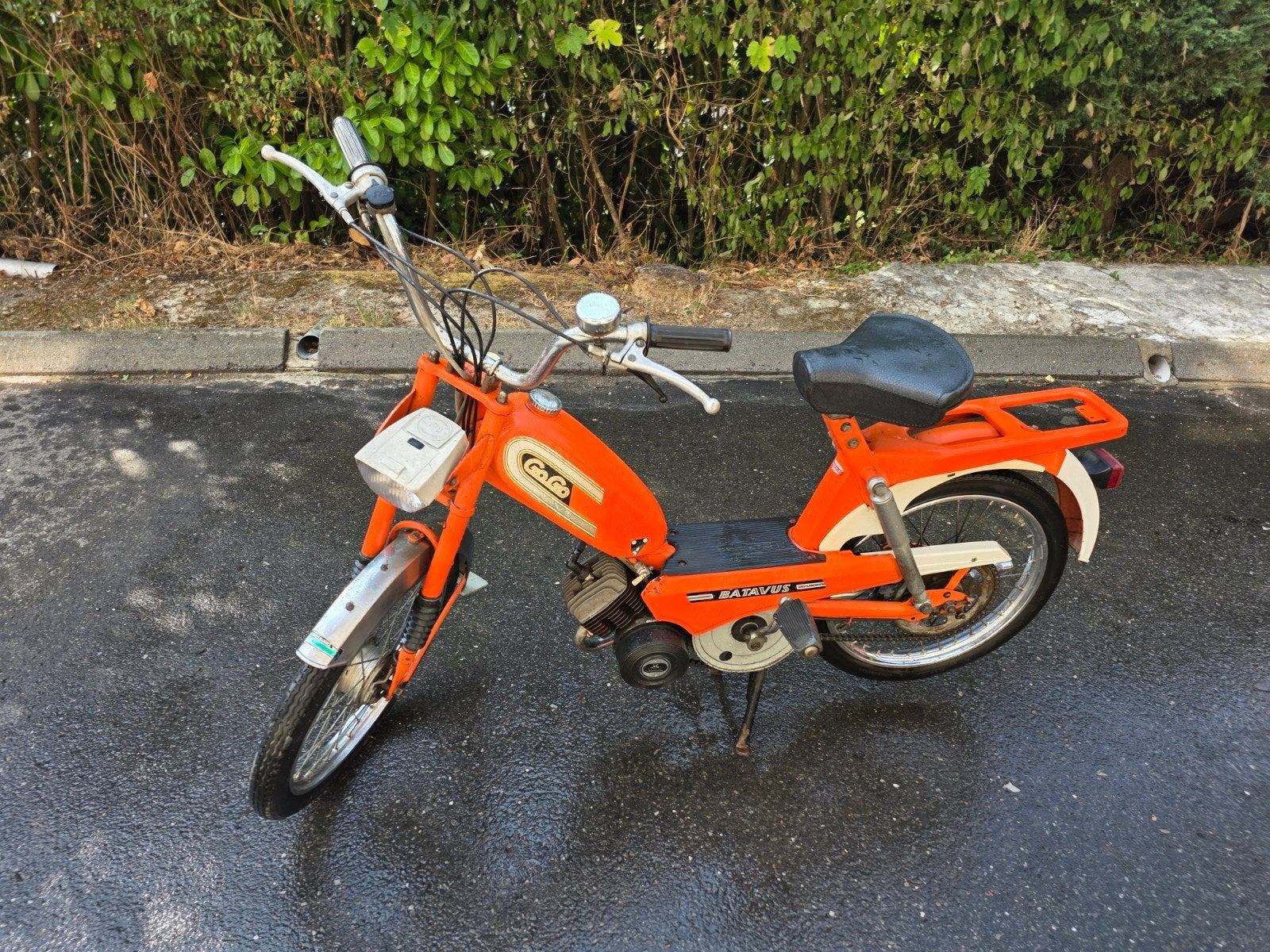 Gogo, Enlèvement, Batavus
