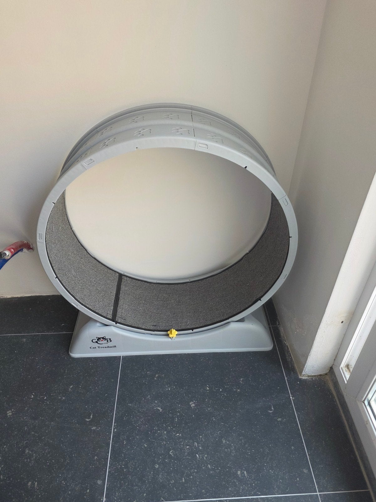 A vendre tapis de course pour chat