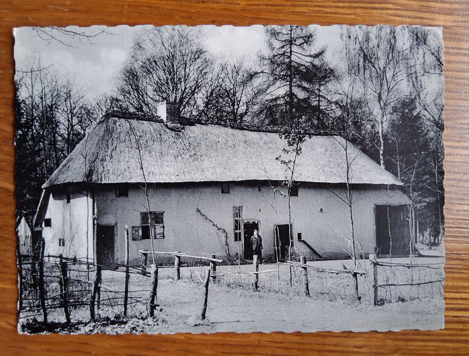 vintage Postkaart Grote kempische hoeve uit Oevel te Bokrijk, Ophalen of Verzenden