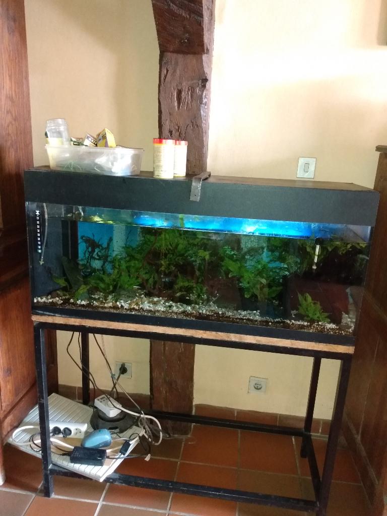 aquarium, Enlèvement, Utilisé