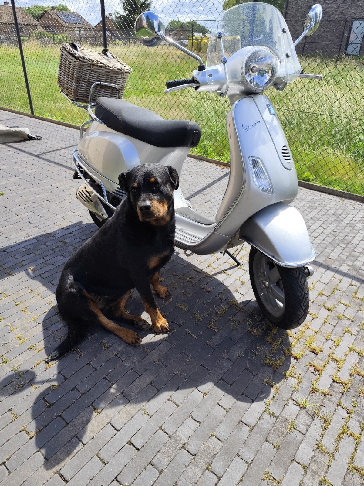 Vespa lx 125cc, Ophalen
