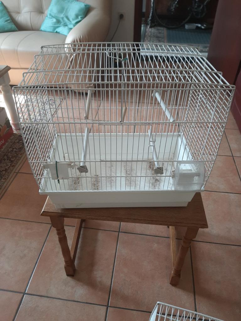 Cages oiseaux, Dieren en Toebehoren, Vogels | Hokken en Kooien, Ophalen