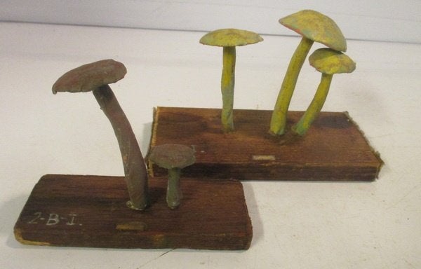 2 anciens modèles botaniques de champignons de l'école, Envoi