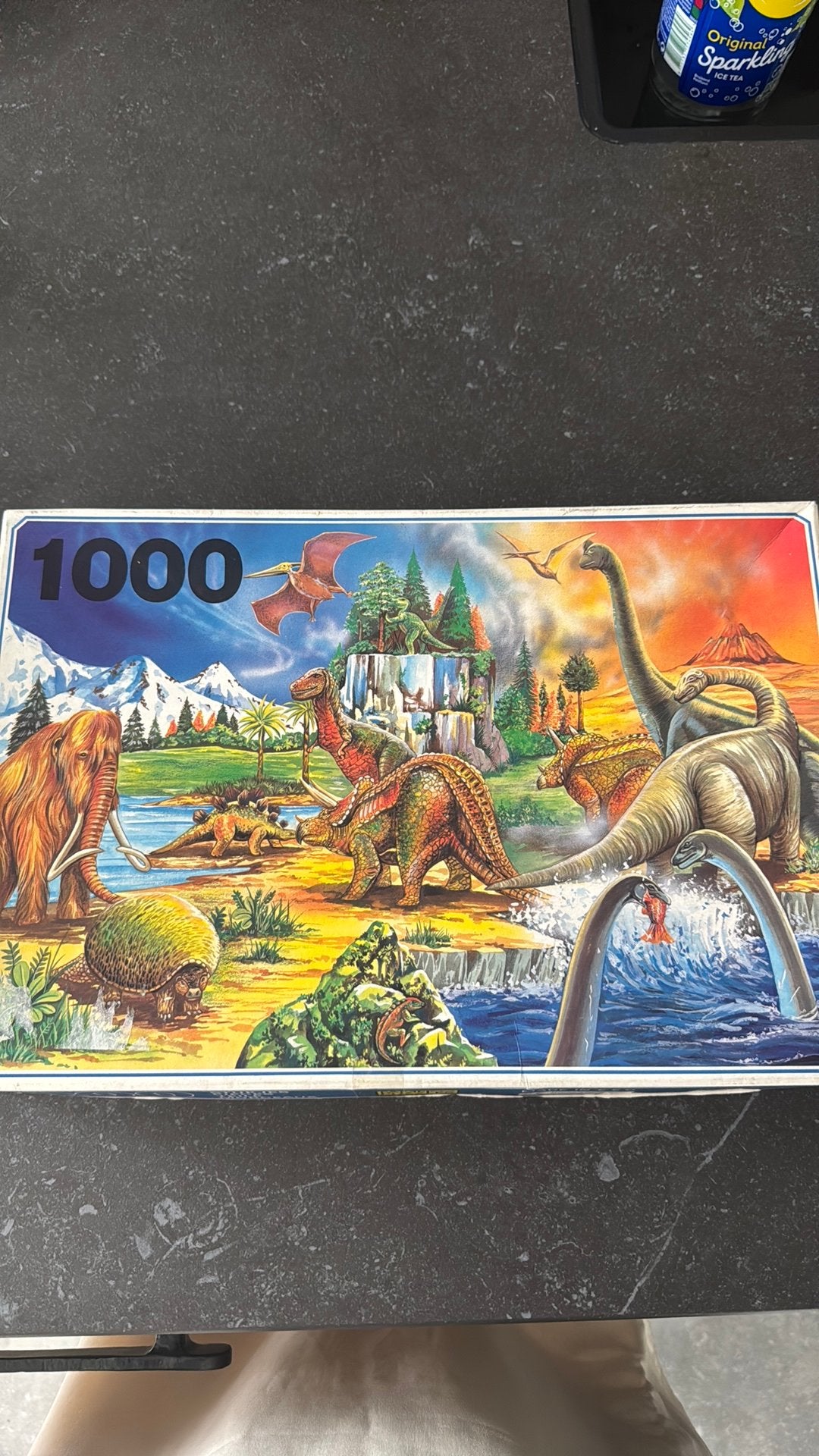 Dino puzzel  1000 stuks, Ophalen, 500 t/m 1500 stukjes, Gebruikt, Legpuzzel