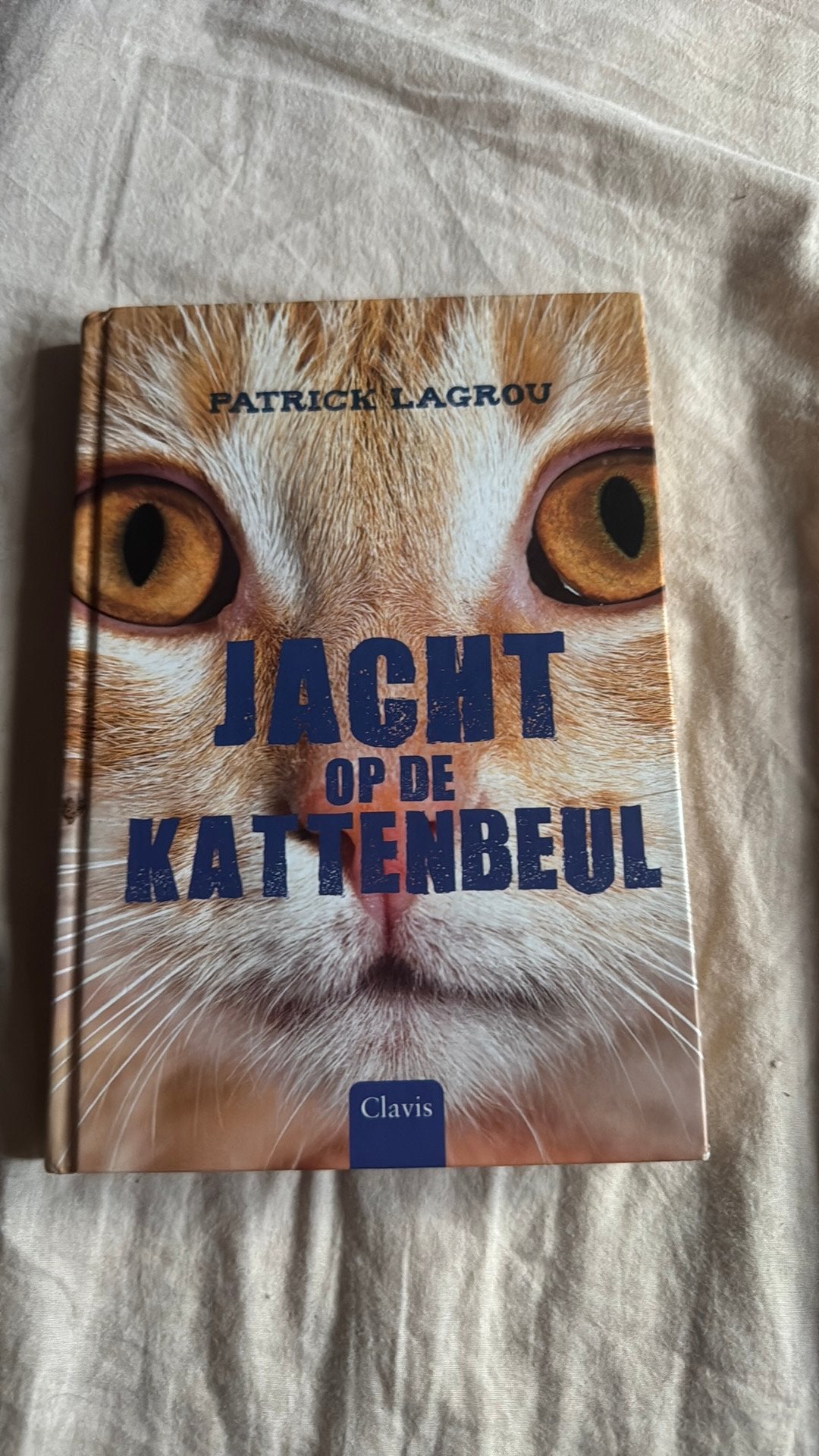 Patrick Lagrou - Jacht op de kattenbeul, Enlèvement, Patrick Lagrou