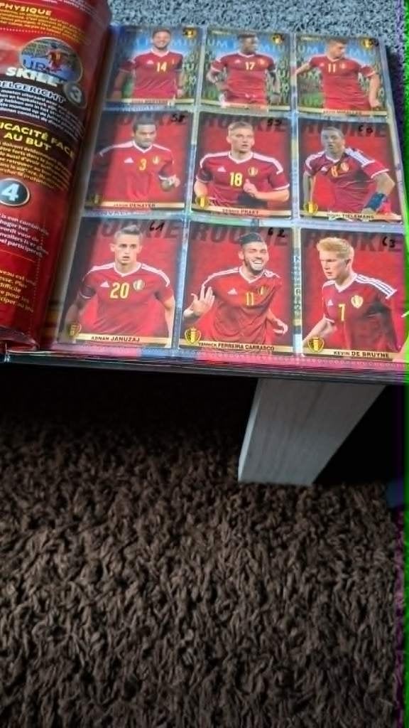 panini carrefour Tousensemble, Verzamelen, Verzenden, Zo goed als nieuw, Sport